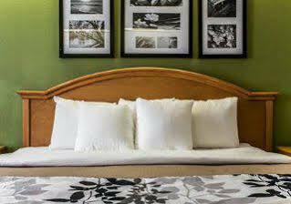 Sleep Inn